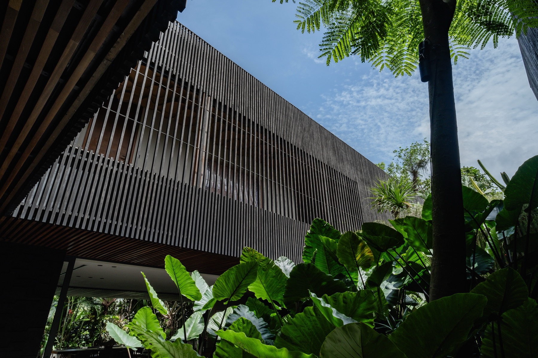 Ocean Palm — view 2